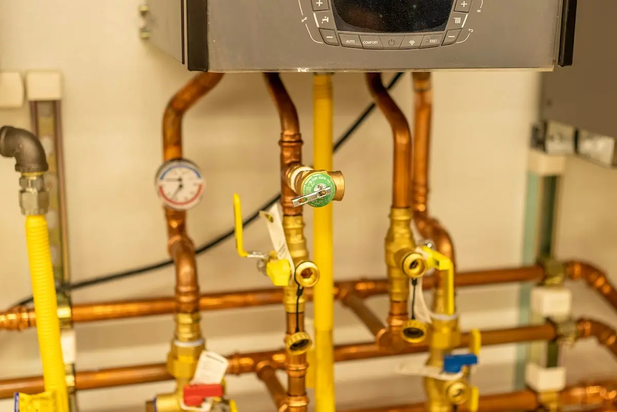 Licensed technician providing Emergency Plumbing for a homeowner in Ludington